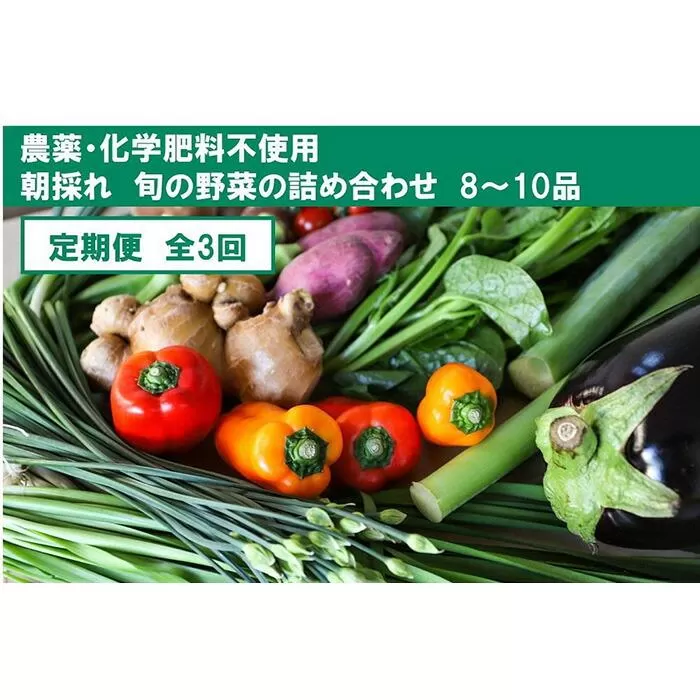 『定期便』【栽培期間中農薬・化学肥料不使用】土佐の太陽をいっぱいに浴びた旬の野菜セット小（3回配送）