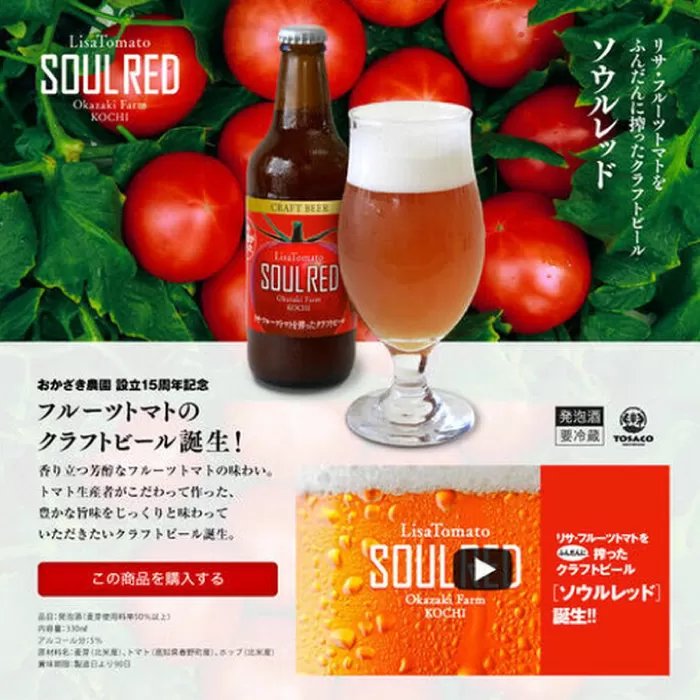 クラフトビール ソウルレッド6本セット 【株式会社　堀】 [ATDA004]