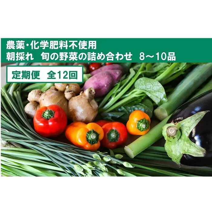 『定期便』【栽培期間中農薬・化学肥料不使用】土佐の太陽をいっぱいに浴びた旬の野菜セット小（12回配送）