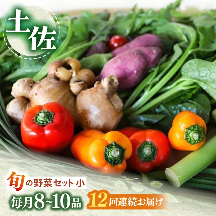 【12回定期便】 土佐の太陽をいっぱいに浴びた旬の野菜セット小 【土佐野菜】 [ATBA007]