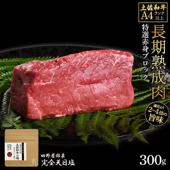 熟成肉　土佐和牛　特選赤身ブロック　約300g　田野屋銀象完全天日塩付き