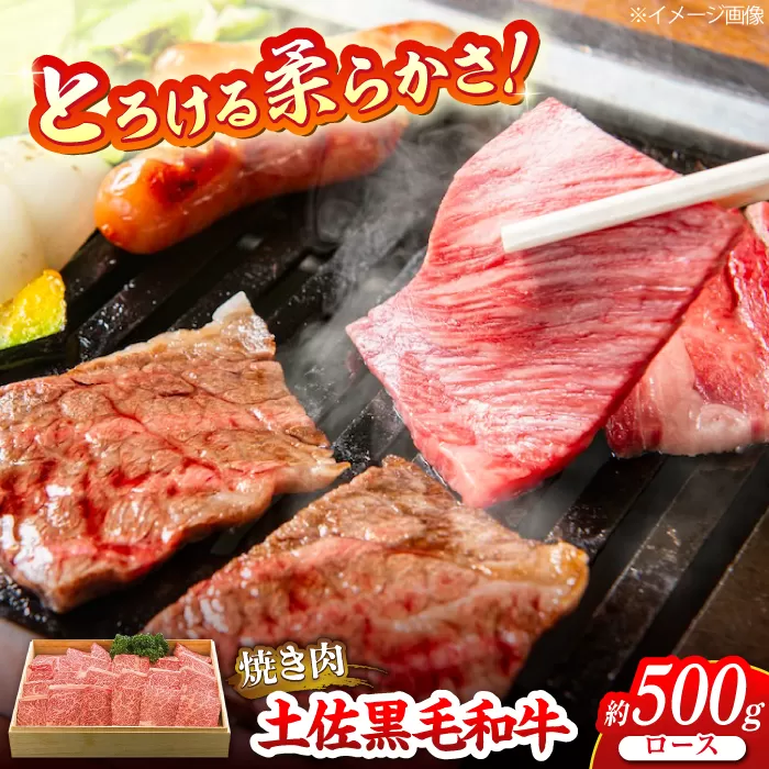 土佐黒毛和牛　ロース　焼き肉　約500g【（有）蔵多堂】 [ATAE011]