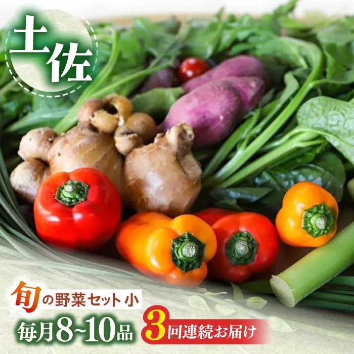 定期便 土佐の太陽をいっぱいに浴びた旬の野菜セット小 (3回配送)【土佐野菜】 [ATBA005]