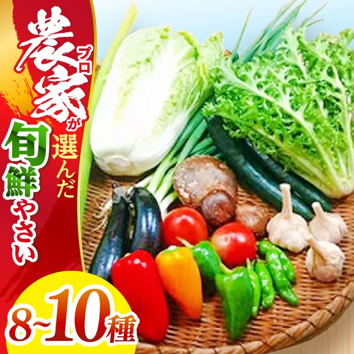 高知県産 土佐季節の野菜詰め合せセット 【香稜苑】 [ATBQ001]