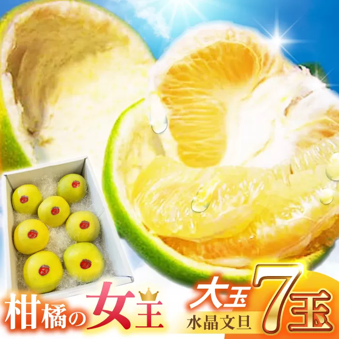 南国土佐の女王柑橘 水晶文旦 約5kg 7玉入り 大玉サイズ ぶんたん 文旦 フルーツ 高知名物 果物 【フルーツショップオザキ】 [ATAH010]
