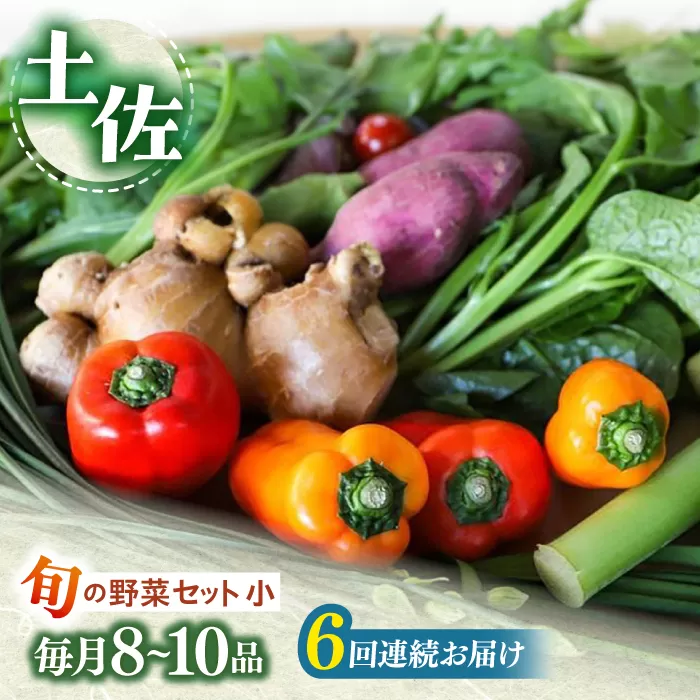 定期便 土佐の太陽をいっぱいに浴びた旬の野菜セット小 (6回配送)【土佐野菜】 [ATBA006]