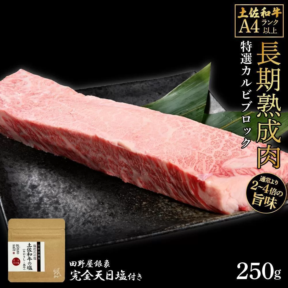 熟成肉　土佐和牛　特選カルビブロック　約250g　田野屋銀象完全天日塩付き