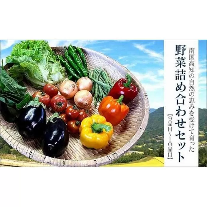 季節の野菜詰め合わせセット