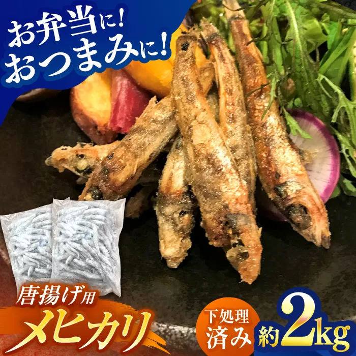 高知県産メヒカリ唐揚げ用 大容量約2kg 【アジアマリン有限会社】 [ATCM003]