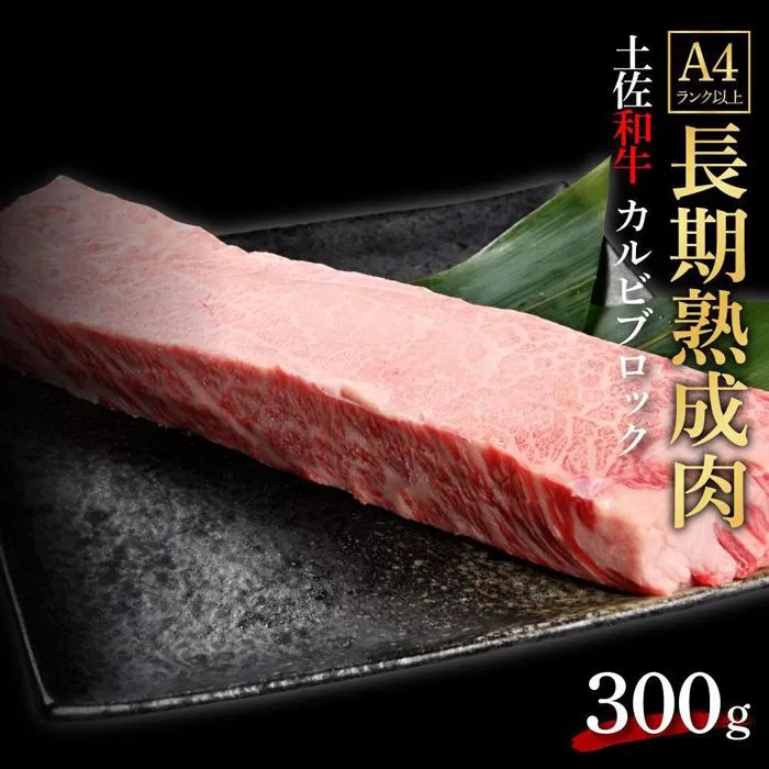 エイジング工法　熟成肉　土佐和牛　特選カルビ　ブロック　約300g　冷凍