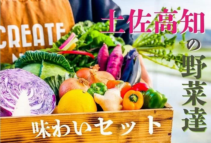 高知の新鮮野菜セット／旬の野菜を味わうお試し便