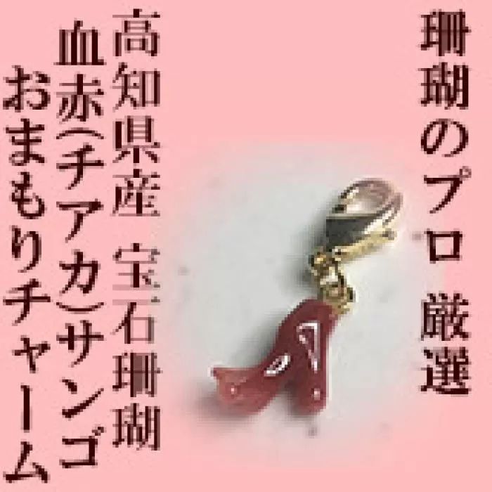 【本物の宝石珊瑚】小さい血赤サンゴ枝御守チャーム　高知県産血赤サンゴの赤を見たいという方に。