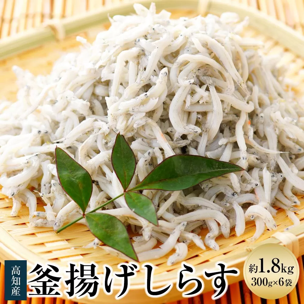 釜揚げしらす 約1.8kg（約300g×6袋）/森国商店 浜で瞬時に釜出し 高知のしらす