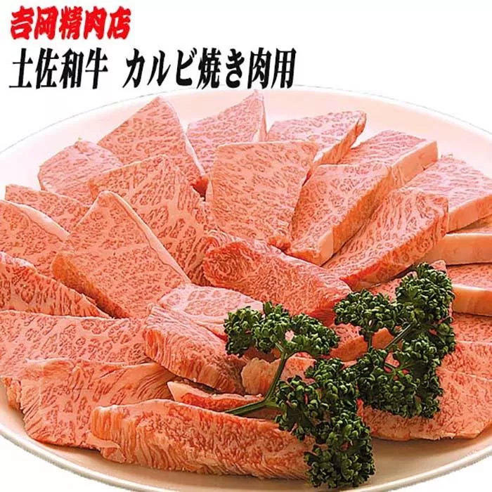 土佐和牛カルビ（焼肉用）約500g | 吉岡精肉店