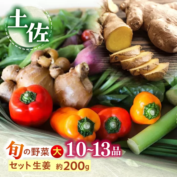 土佐の太陽をいっぱいに浴びた旬の野菜生姜約200gのセット「大」【土佐野菜】 [ATBA004]