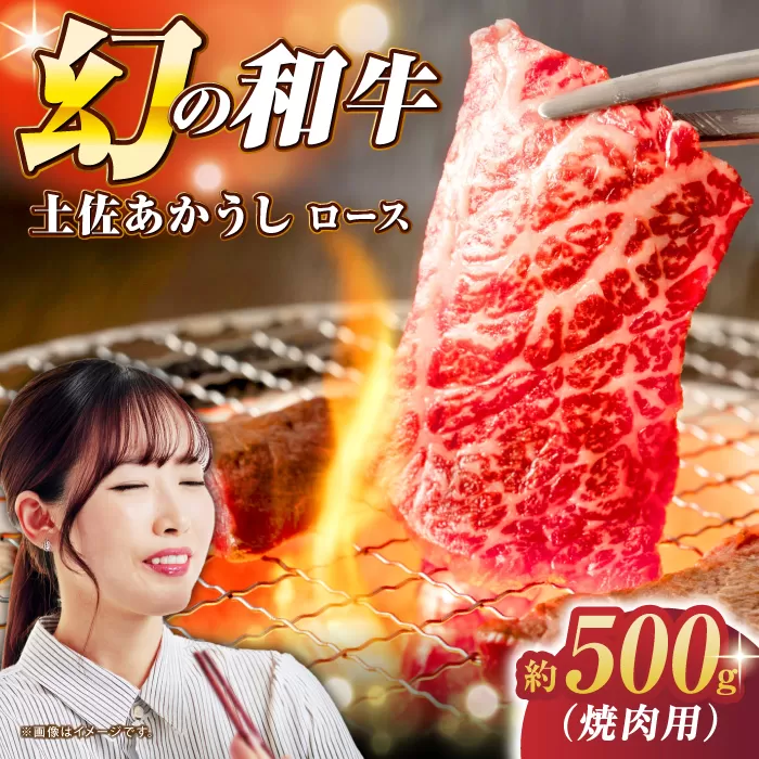 土佐あかうし ロース (焼肉用) 約500g 幻の和牛 【グレイジア株式会社】 [ATAC030]