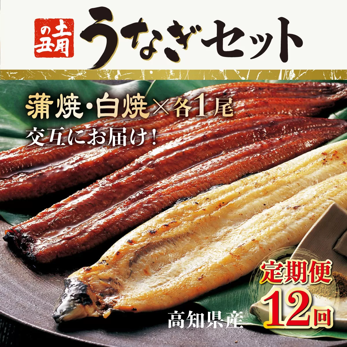 蒲焼き・白焼きを交互にお届け！国産うなぎ１尾【全１２回定期便】 _ うなぎ 鰻 ウナギ 1尾 国産 高知県産 蒲焼き 白焼き かばやき 冷凍 うな重 ひつまぶし タレ ランキング 人気 12回 定期便