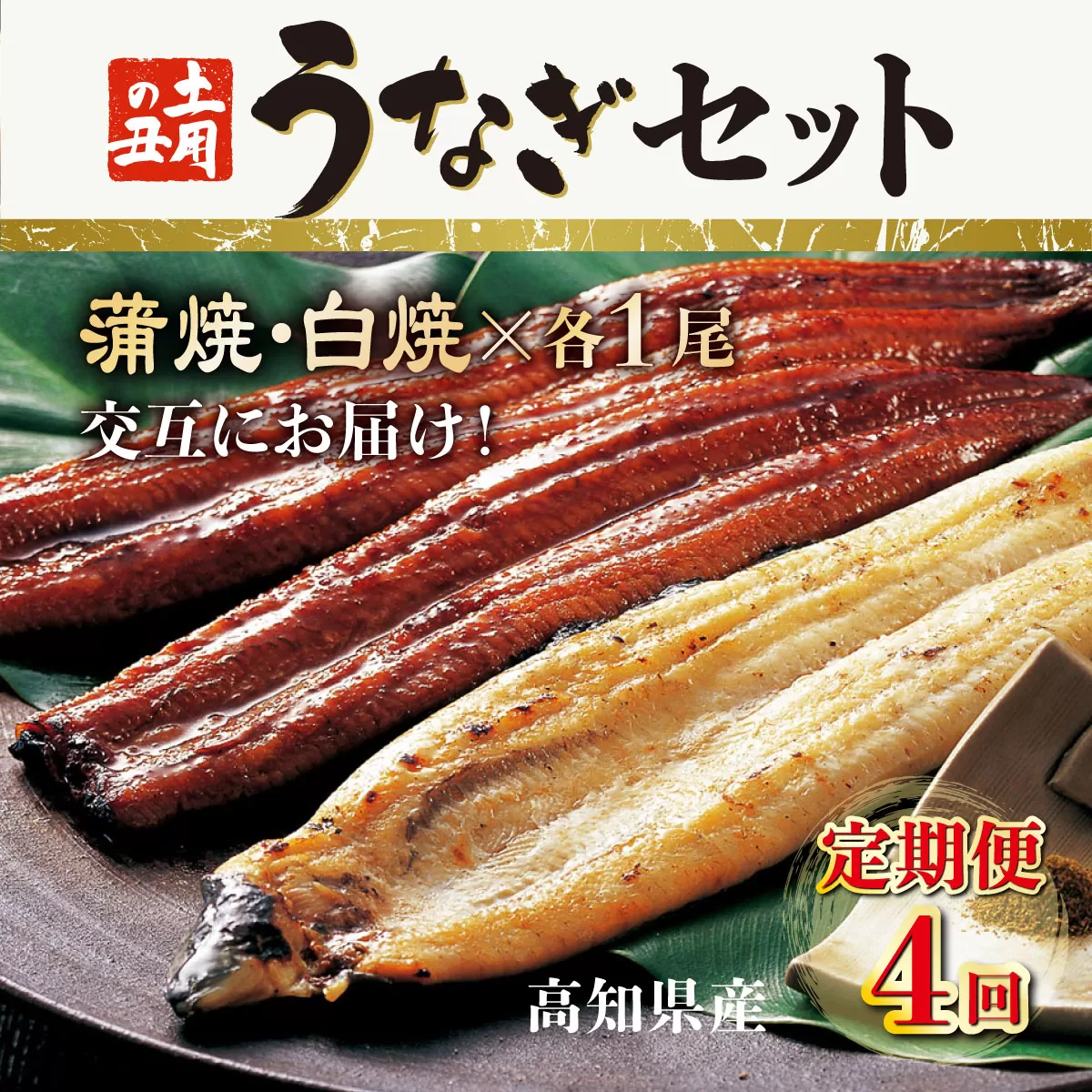 蒲焼き・白焼きを交互にお届け！国産うなぎ１尾【全４回定期便】 _ うなぎ 鰻 ウナギ 1尾 国産 高知県産 蒲焼き 白焼き かばやき 冷凍 うな重 ひつまぶし タレ ランキング 人気 4回 定期便