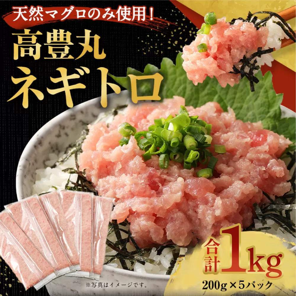 訳あり ネギトロ 魚 惣菜 1kg (200g×5パック) 高豊丸  高品質 まぐろたたき まぐろのたたき 小分け 魚 魚介 鮪 マグロ 寿司 すし 海鮮 おかず 海鮮丼 手巻き寿司 冷凍 10000円