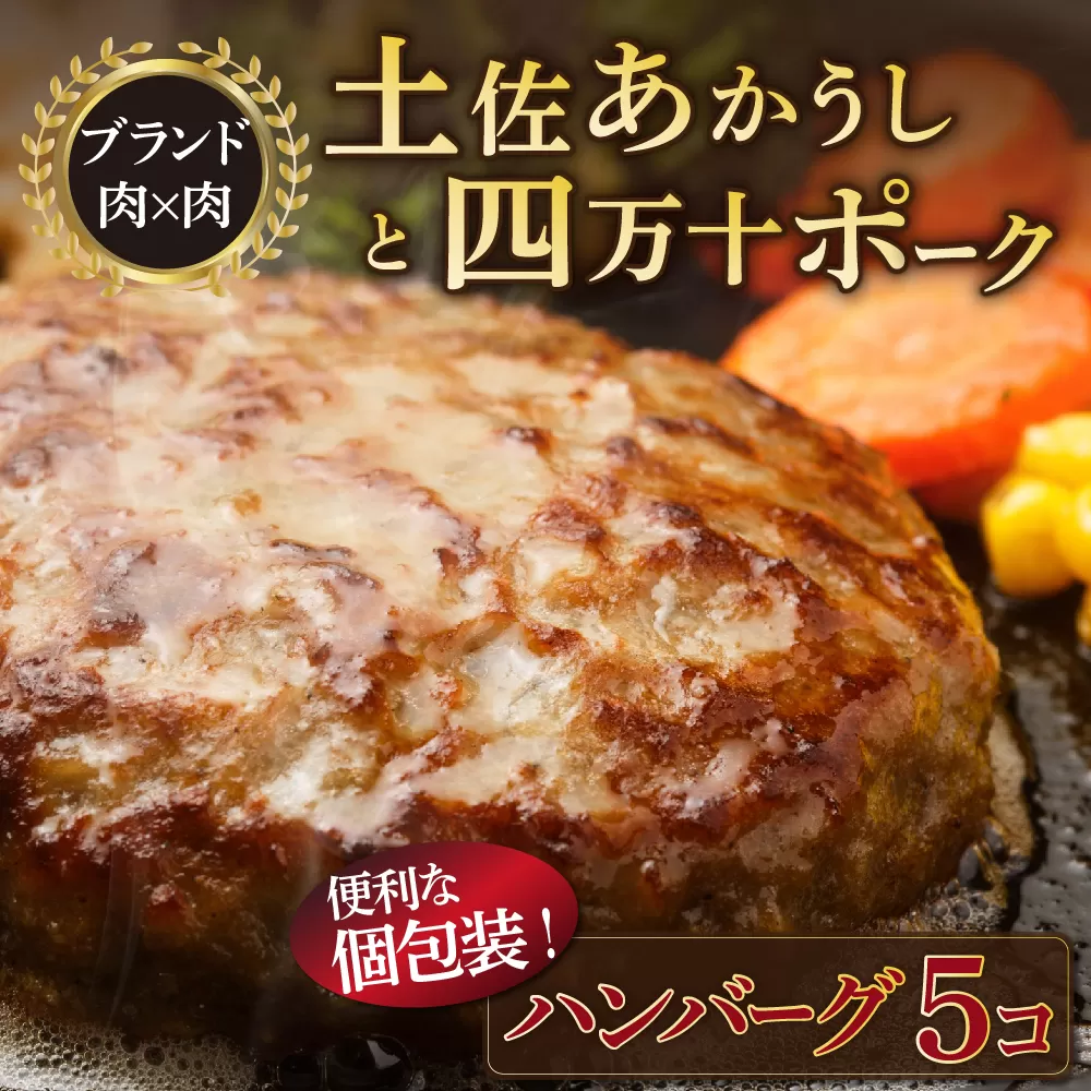 湯煎するだけ！土佐あかうしと四万十ポークのハンバーグ　５個セット