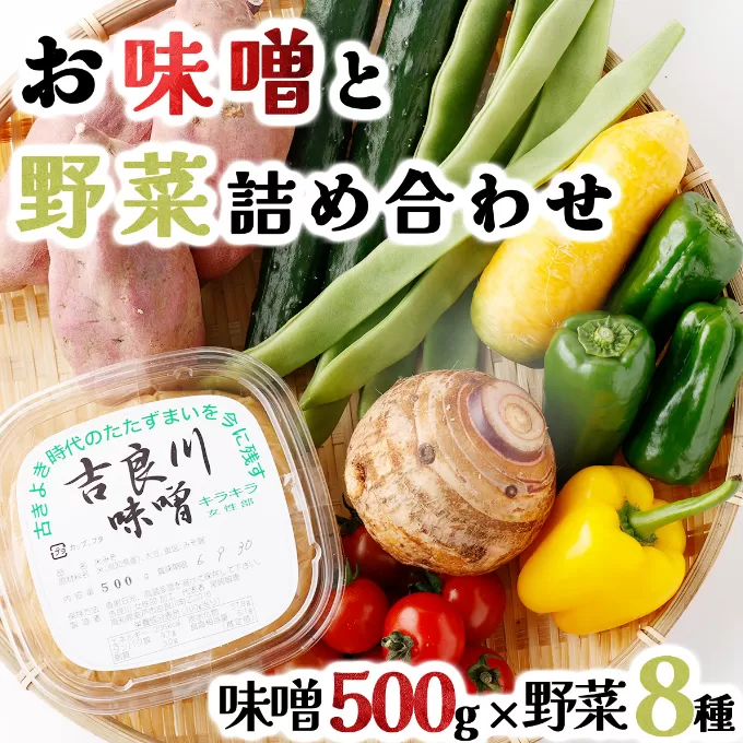 お味噌 (550g) 野菜 (8品) セット 詰め合わせ 旬 おまかせ 新鮮 やさい 味噌 みそ 吉良川みそ 調味料 高知県 室戸市 5000円