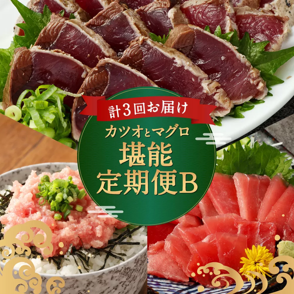 【3回定期便】カツオとマグロ堪能定期便B お楽しみ 切り落とし 刺身 刺し身 鮪 鰹 まぐろ カツオのたたき ネギトロ 海鮮 魚 惣菜 海産物 魚介類 魚貝 高知県 まぐろたたき 冷凍 訳あり 不揃い 傷 規格外 故郷納税 どんぶり お手軽 便利