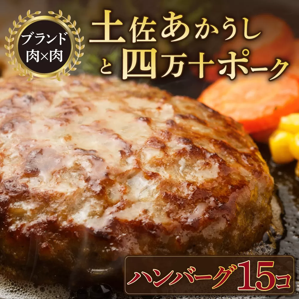 湯煎するだけ！土佐あかうしと四万十ポークのハンバーグ　１５個セット