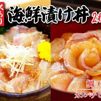 訳あり海鮮漬け丼（タイ3P・カンパチ2P）セット 漬け丼 漬け 鯛 かんぱち 勘八 白身魚 食べ比べ 海鮮 魚 冷凍 食品 保存食 小分け 高知 土佐 海鮮丼 漬け丼 ぶっかけ 鯛めし 惣菜 そうざい 訳アリ わけあり 不揃い 規格外 故郷納税 返礼品