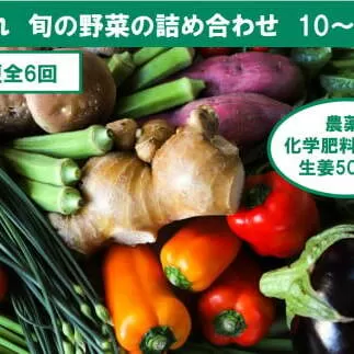 『定期便全6回』栽培期間中に農薬不使用の生姜200gと旬の野菜詰め合わせ10～13品目 旬の野菜 定期 生姜 野菜 健康 詰め合わせ セット 採れたて おいしい 美味しい 自然 新鮮 故郷納税 ふるさとのうぜい 返礼品 高知県 高知