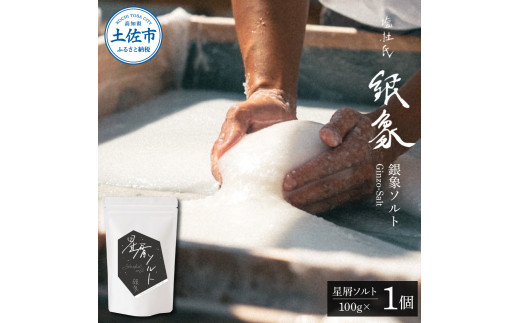 銀象ソルト Ginzo-Salt 星屑ソルト 100g 塩 しお 調味料 天日塩 完全天日塩 国産 高知県産 ソルト ミネラル 健康 料理 調理 お塩  塩 美味しい 天然 塩 高知県｜土佐市｜高知県｜返礼品をさがす｜まいふる by AEON CARD