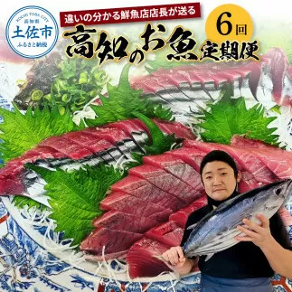 ＜6回定期便＞違いの分かる鮮魚店店長が送る 高知のお魚定期便！！ 海鮮 魚 さかな 新鮮 カツオのタタキ 金目鯛 真鯛 ネギトロ 天然アユ など 旬 季節 定期便 お楽しみ 定期コース 6ヶ月 年6回 冷蔵 高知県 高知 故郷納税 ふるさとのうぜい 土佐市