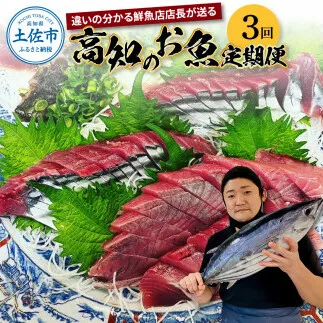 ＜3回定期便＞違いの分かる鮮魚店店長が送る 高知のお魚定期便！！ 海鮮 魚 さかな 新鮮 カツオのタタキ 金目鯛 真鯛 ネギトロ 天然アユ など 旬 季節 定期便 お楽しみ 定期コース 3ヶ月 年3回 冷蔵 高知県 高知 故郷納税 ふるさとのうぜい 土佐市