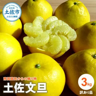 『南国高知からの贈り物』土佐文旦 【訳あり（家庭用）】3kg 3キロ 5玉～7玉入 期間限定 数量限定 文旦 ぶんたん ブンタン 柑橘 みかん 果物 フルーツ ワケあり 甘い 美味しい 旬 ギフト