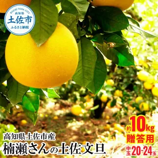 高知県土佐市産 楠瀬さんの土佐文旦 贈答用中玉 約10kg 期間限定 高知 土佐 文旦 ぶんたん ブンタン 柑橘 みかん 果物 10キロ L～2Lサイズ 20～24玉 フルーツ 旬 ギフト 常温