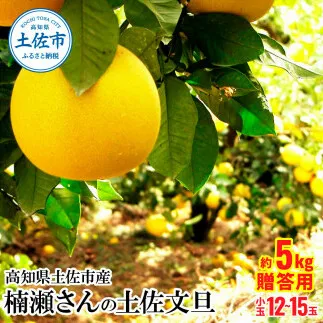 高知県土佐市産 楠瀬さんの土佐文旦 贈答用小玉 約5kg 期間限定 高知 土佐 文旦 ぶんたん ブンタン 柑橘 みかん 果物 5キロ M～Lサイズ 12～15玉 フルーツ 旬 ギフト 常温