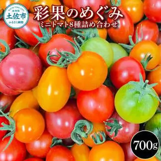 ＜2025年1月より発送＞彩果のめぐみ 700g ミニトマト とまと 詰め合わせ 新鮮野菜 トマト 美味しい 野菜 厳選 新鮮 夏野菜 サラダ ギフト 贈り物 数量限定 期間限定 フラガール ラブリーさくら 高知県 土佐市