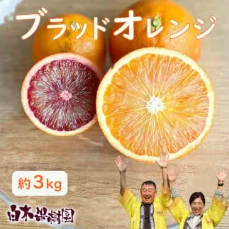 ブラッドオレンジ　約３kg　果物　柑橘　フルーツ　オレンジ　高知県土佐市　お取り寄せ 産地直送　おいしい 美味しい　白木果樹園