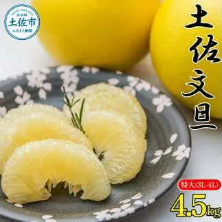 土佐文旦特大(3L-4L) サイズ4.5kg 大玉 ぶんたん ブンタン 果物 くだもの 柑橘 フルーツ お取り寄せ 農家直送 おいしい 美味しい 旬 ＜先行予約 2025年2月上旬より順次発送＞