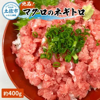 絶品！マグロのネギトロ 約400g 約3～4人前 薬味・しょうゆ付き まぐろ 鮪 ねぎとろ 魚介 海鮮 海鮮丼 お寿司 おかず おつまみ 惣菜 ご自宅用 おいしい