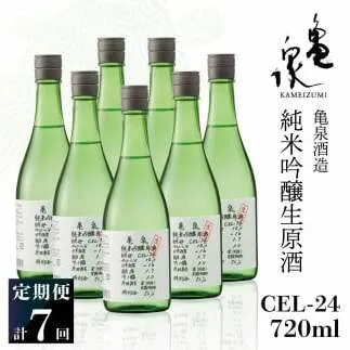 純米吟醸生原酒 CEL-24 720ml 生酒 毎月1本×7回 定期便 お酒 酒 さけ 日本酒 アルコール 生原酒 14度 14% 甘口 フルーティ 食中酒 地酒 亀泉酒造 おいしい 飲みやすい