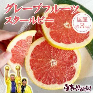 【果樹園直送】国産グレープフルーツ　スタールビー　約3kg　果物　柑橘　フルーツ　みかん　高知県土佐市　お取り寄せ 産地直送　白木果樹園