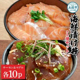 土佐の海鮮漬け丼（サーモン・まぐろ）各10袋セット 1パック60g 漬け丼 海鮮丼 マグロ丼 サーモン丼 鮪 まぐろ おかず おつまみ 惣菜 魚介類 海鮮 個包装 小分け 真空パック 簡単 お取り寄せ