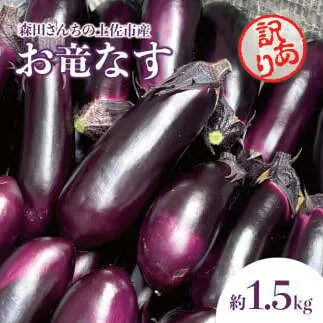 森田さんちの土佐市産お竜なす 訳あり 約1.5kg 1.5キロ 16～21本 1本約80g 茄子 ナス なすび 野菜 新鮮 焼き茄子 煮浸し 漬物 浅漬け ぬか漬け 味噌汁 おかず 訳アリ ご自宅用