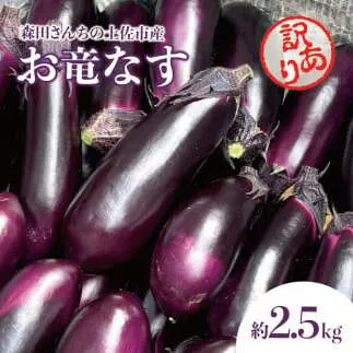 森田さんちの土佐市産お竜なす 訳あり 約2.5kg 2.5キロ 29～34本 1本約80g 茄子 ナス なすび 野菜 新鮮 焼き茄子 煮浸し 漬物 浅漬け ぬか漬け 味噌汁 おかず 訳アリ ご自宅用