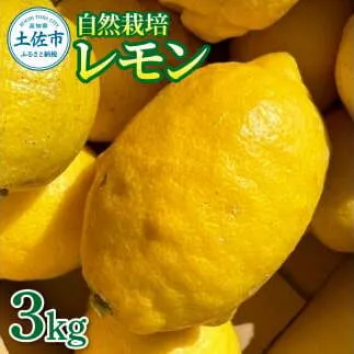 自然栽培レモン3kg 3キロ レモン 檸檬 れもん 自然栽培 無農薬 柑橘類 柑橘 フルーツ 果物 くだもの レモネード 塩レモン はちみつレモン レモンスカッシュ レモンサワー ビタミンC