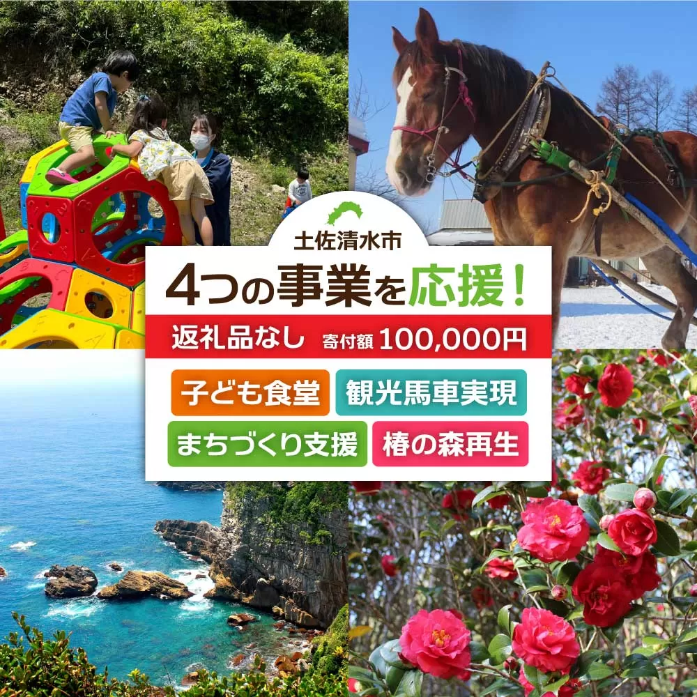 一括寄附で4つの事業を応援！返礼品なし10万円コース（子ども食堂・観光馬車実現・椿の森再生・まちづくり支援）クラウドファンディング クラファン 100000円 10万 子供 子育て 福祉 動物保護 自然保護 環境整備 教育 自然 イベント お遍路道【R01226】