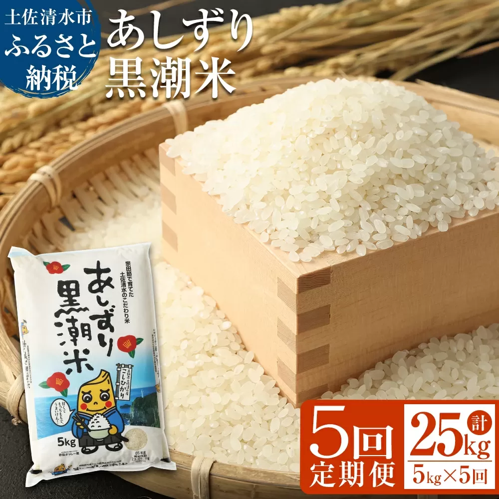 【５回定期便】あしずり黒潮米５kg×５回（コシヒカリ）こしひかり 精米 白米 ブランド米 お米 米 コメ ご飯 おにぎり 甘い もちもち 国産 高知県 宗田節で育てた【J00180】