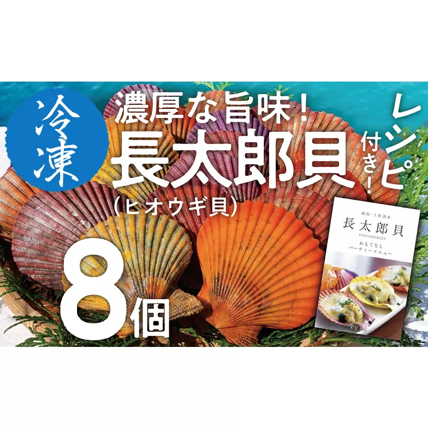 黒潮の恵 冷凍 ヒオウギ貝８個セット（ホタテの仲間）アウトドア キャンプ バーベキュー 魚貝 殻付 貝柱 酒蒸し 真空パック【R00802】