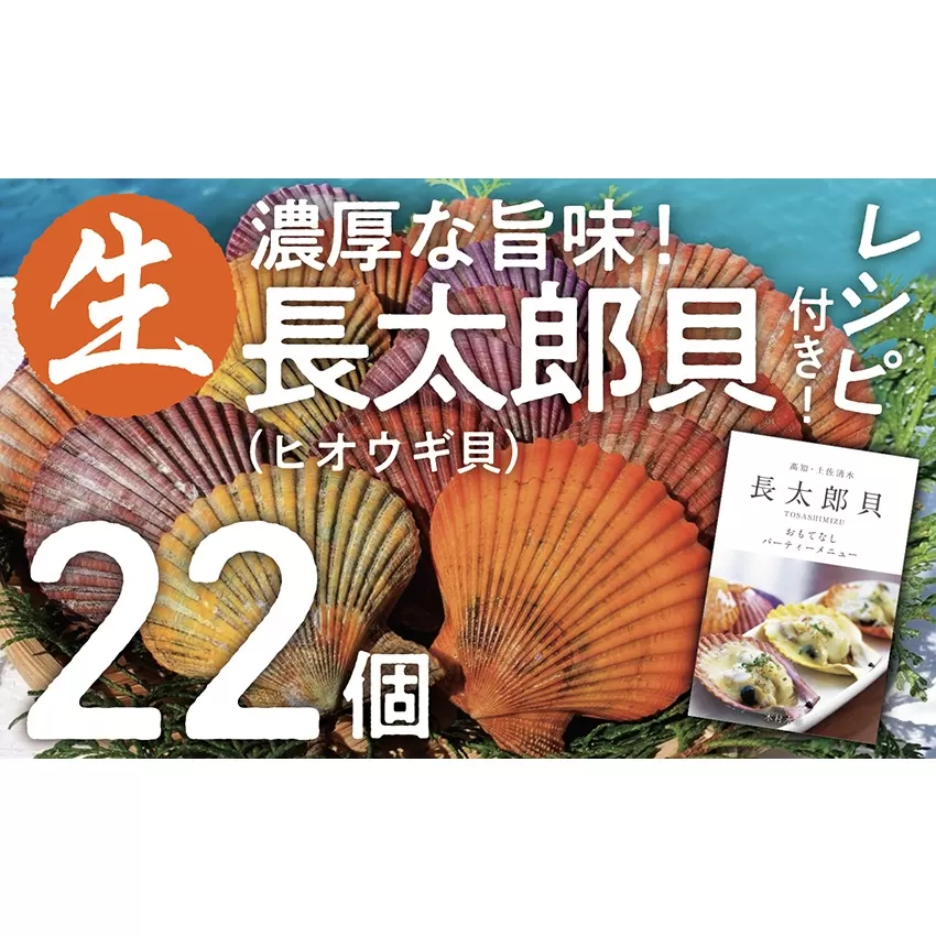 ヒオウギ貝22個セット（ホタテの仲間）アウトドア キャンプ 海鮮BBQ 魚貝  生 貝殻付 活 貝柱 酒蒸し バーベキュー【R00343】