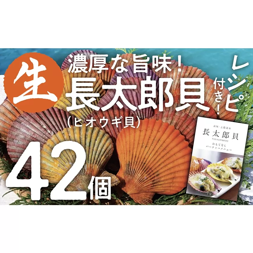 ヒオウギ貝42個セット（ホタテの仲間）アウトドア キャンプ 海鮮BBQ 魚貝  生 貝殻付 活 貝柱 酒蒸し バーベキュー【R00570】